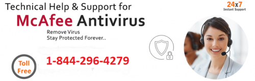 mcafee customer support number